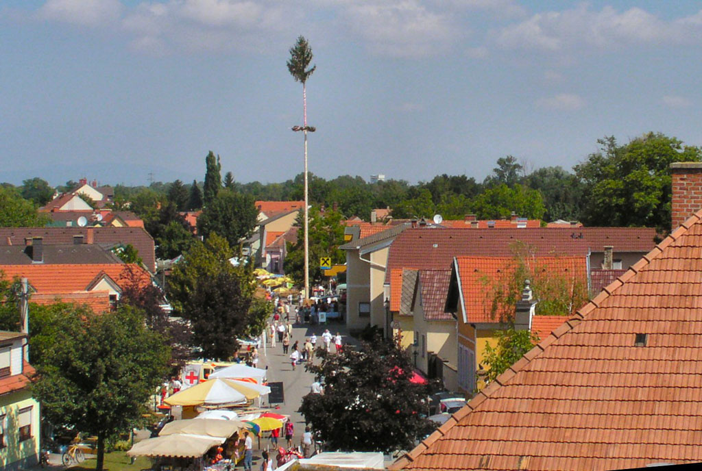 P8086350